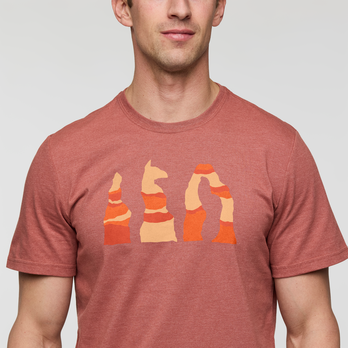 Llama Hoodoo T-Shirt - Men's - Image 5